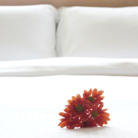 fleurs posées sur un lit